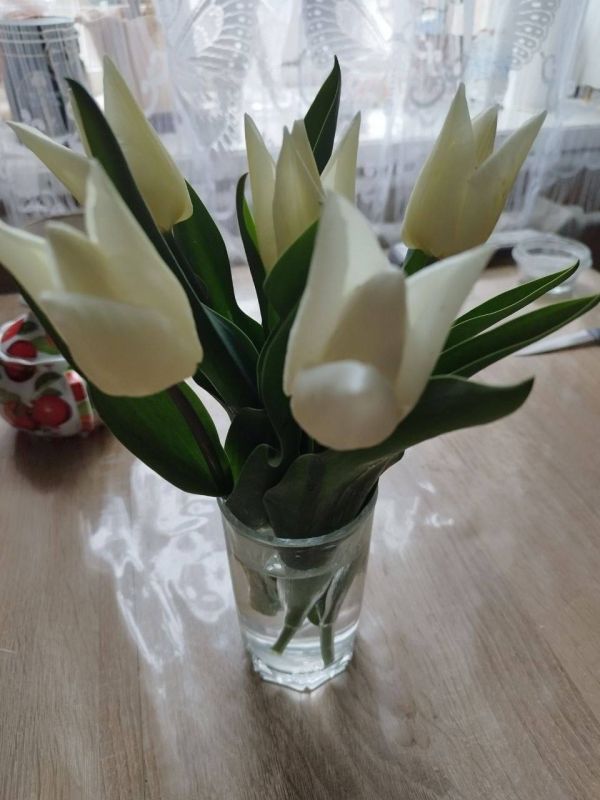 � ������ �� 8 ������ . � ������������� ���� �������, �����