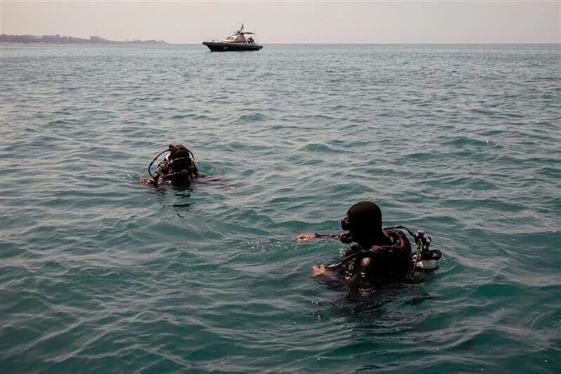 ��������� ������������ ������������ ��������� ���������� �����������