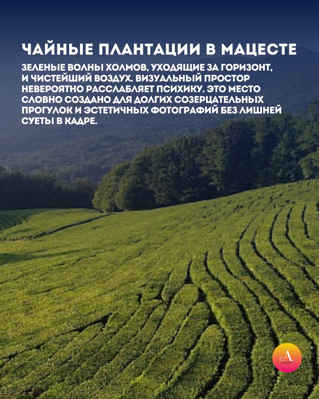 Где в Сочи искать спокойствие? 5 мест для весенней перезагрузки! Где в Сочи искать спокойствие? 5 мест для весенней перезагрузки!