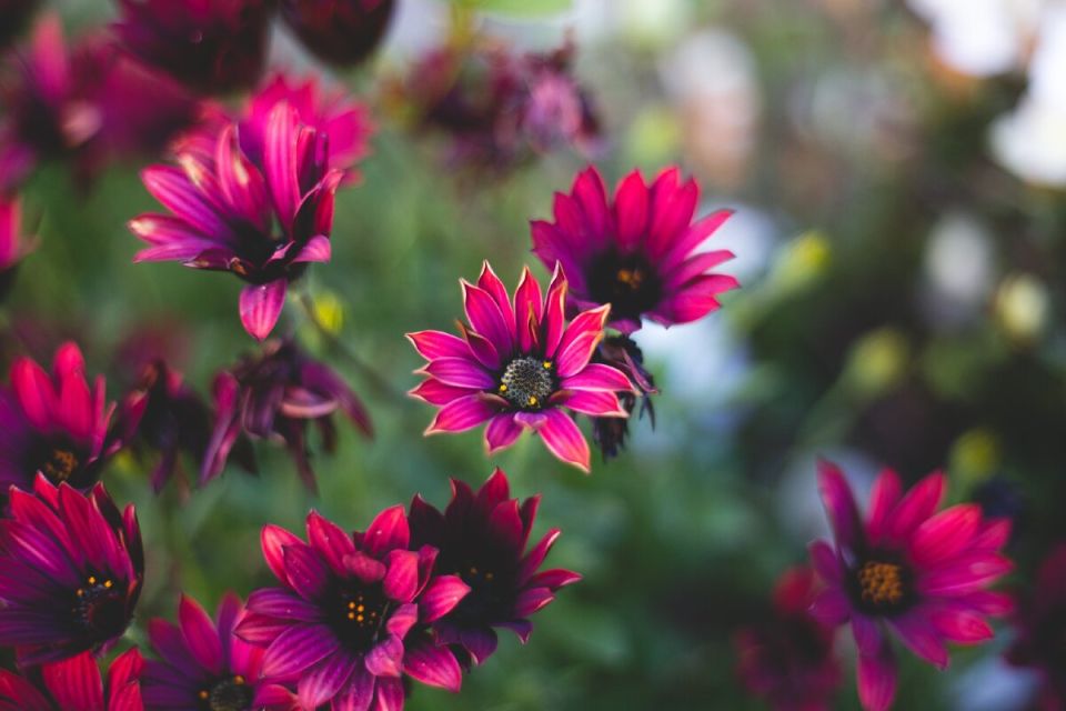 8 ��������������� ������������ ��� ������ ����