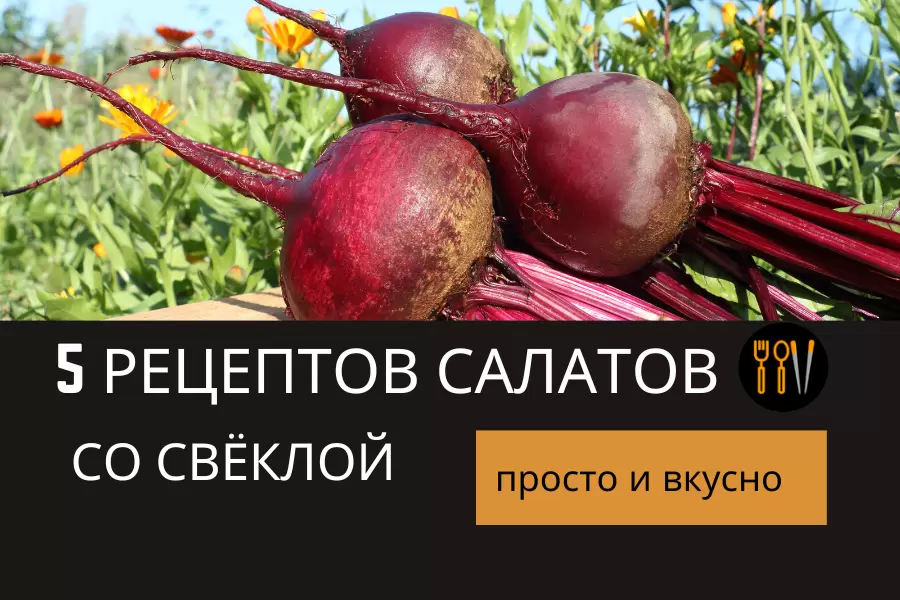 Удивительные салаты со свёклой: 5 простых и вкусных рецептов для ежедневного рациона