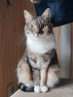 ������ ����, ������!. ��������� +9 ��