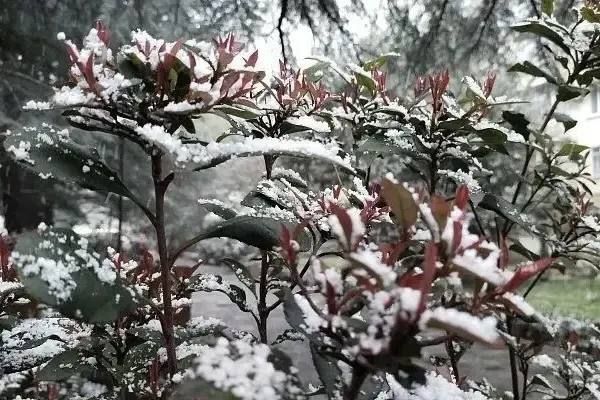 � ���������� � ������ ����� ���� ��������� ������ ����