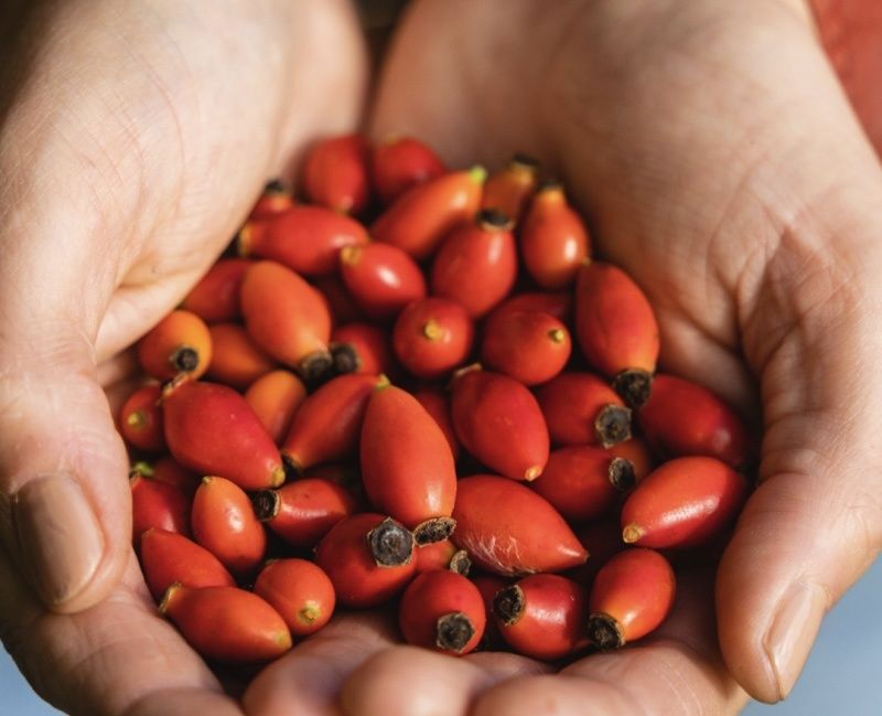 ��������: ��������� ����� ��� ������ �������?