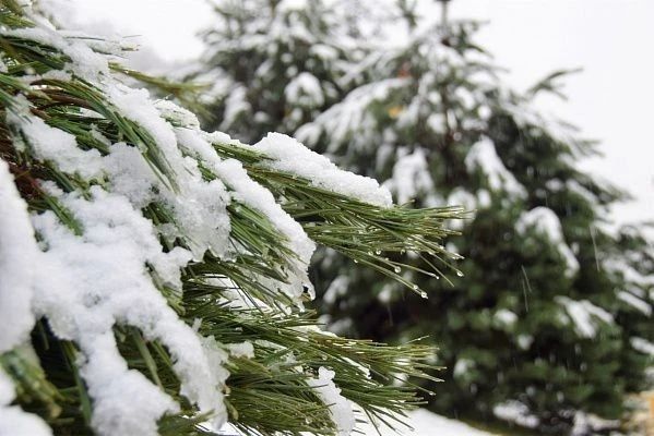 � ���� �� ����� ����� �������� ������� ������