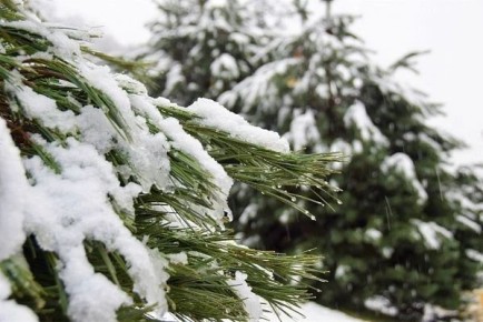 � ���� �� ����� ����� �������� ������� ������