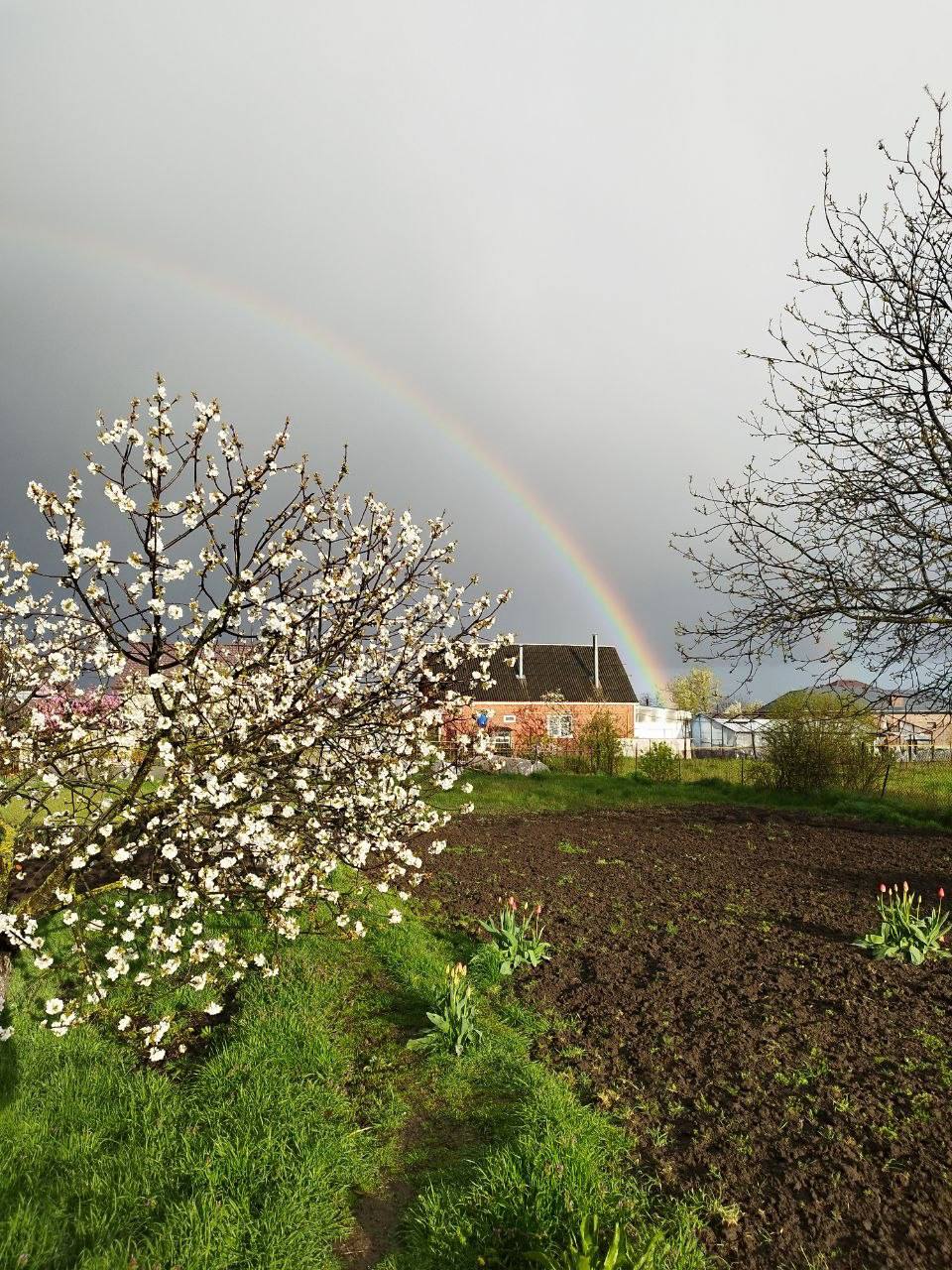 О погоде на 9 апреля . В Краснодарском крае облачно с прояснениями