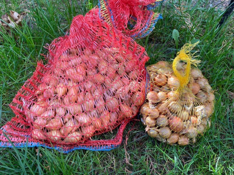 ����� ������� ��������� ����-�����: ��� �������� ��������� ������ � ���������� ������� ������