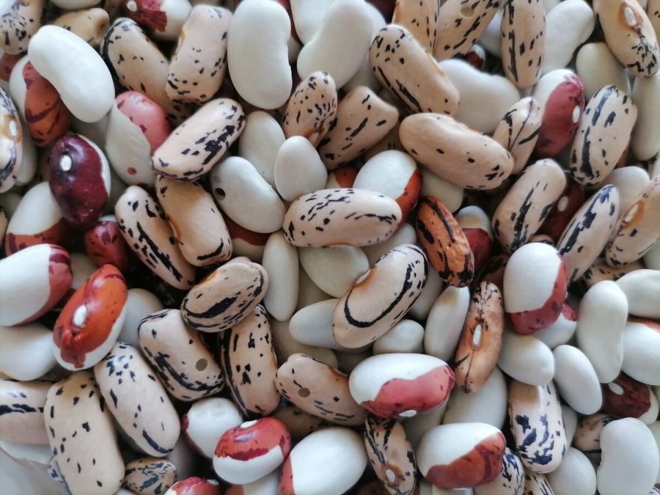 ������: ������� ��������� ����������� �� ����� �� ����� ������