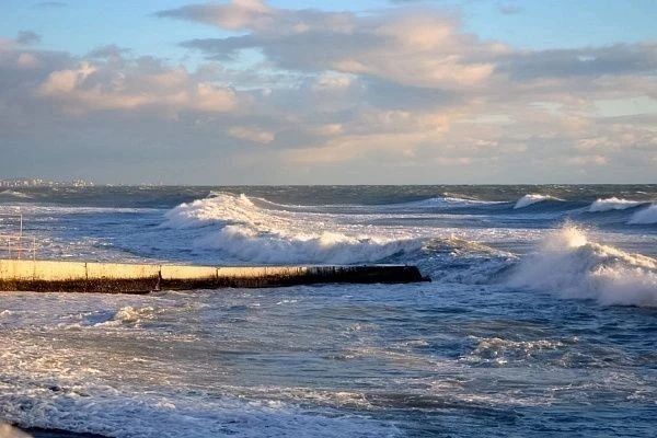 � ���� �� ����� ����� �������������� �������� �������� ����