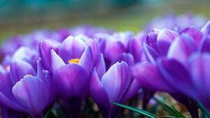 ���������� �������� �������: ��� ��������� �� �������� � �������� ��������