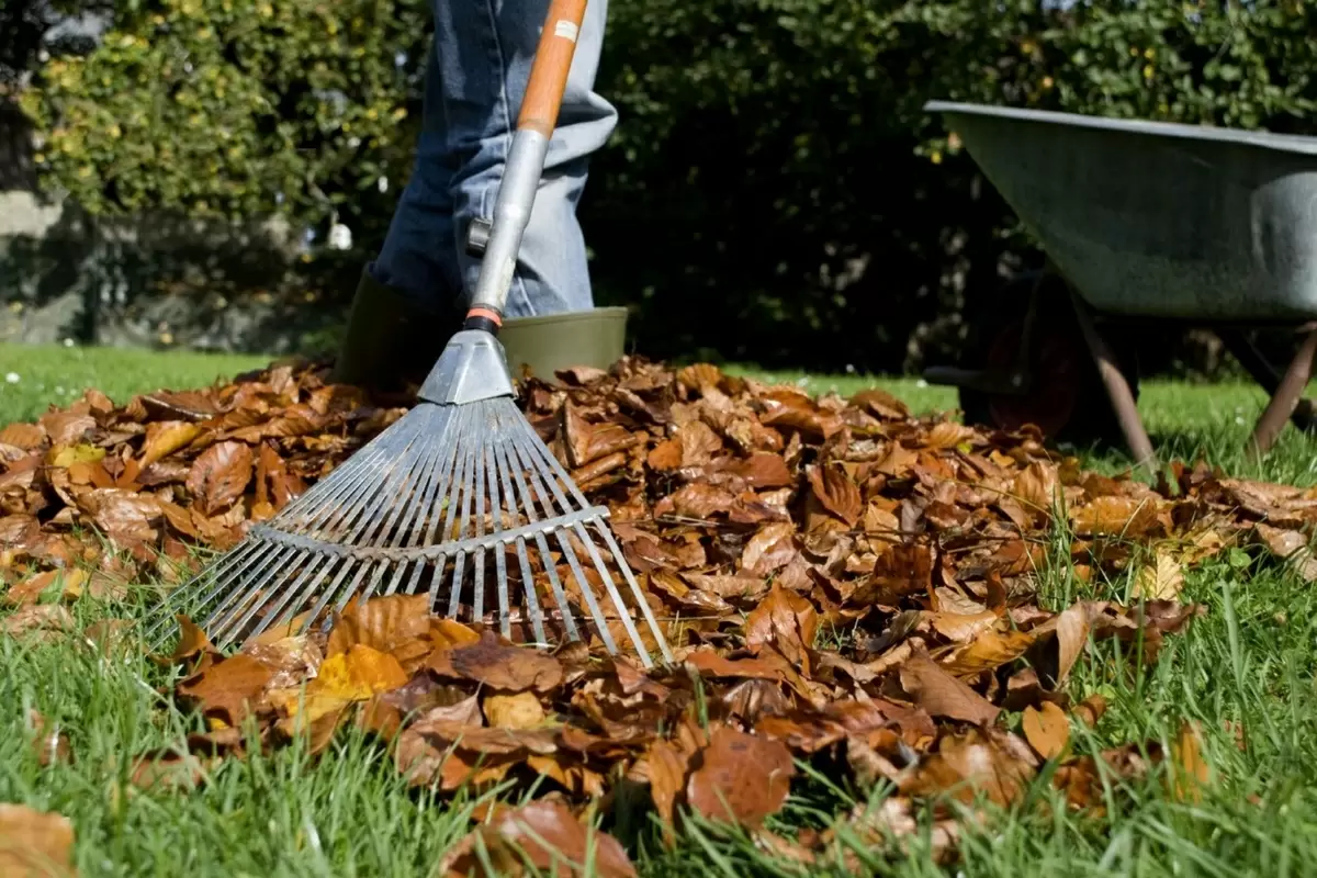 Как уберечь газон от зимних невзгод: неожиданные ошибки и полезные советы