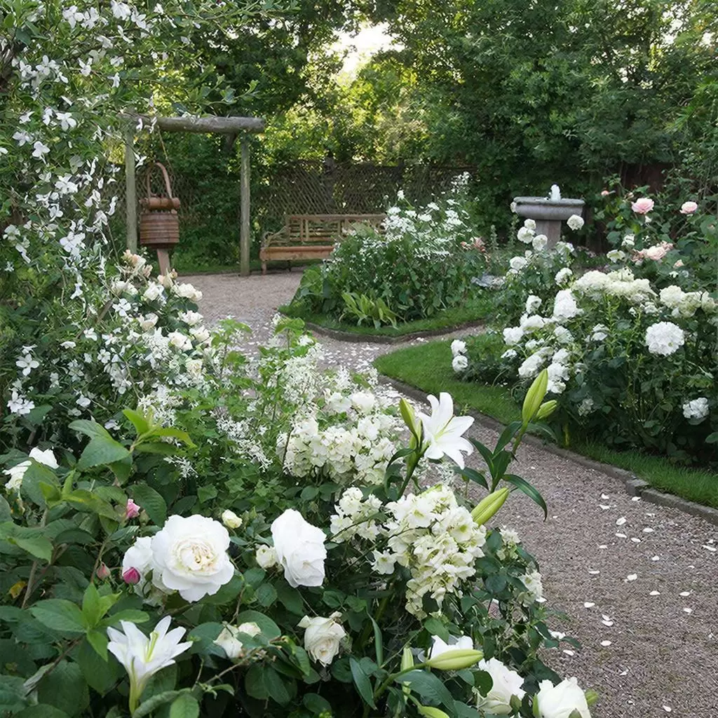 Как белые растения преобразят ваш осенний сад в его лучшее преображение