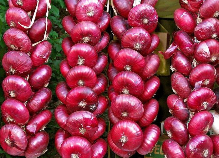 ��������� �������� ����: ������ �� ��� ��������