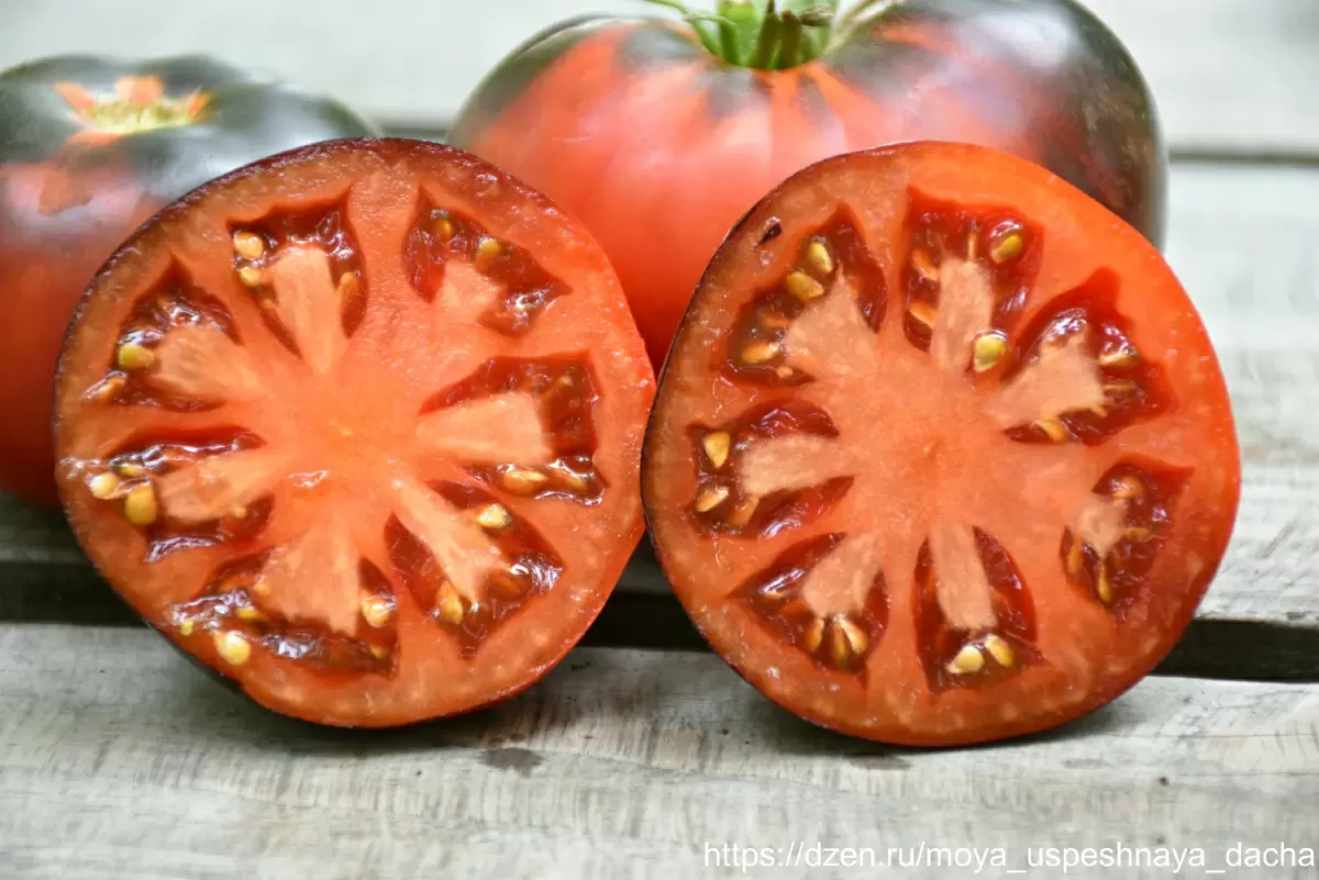 Томат, который не оправдал надежд: расправа с ожиданиями