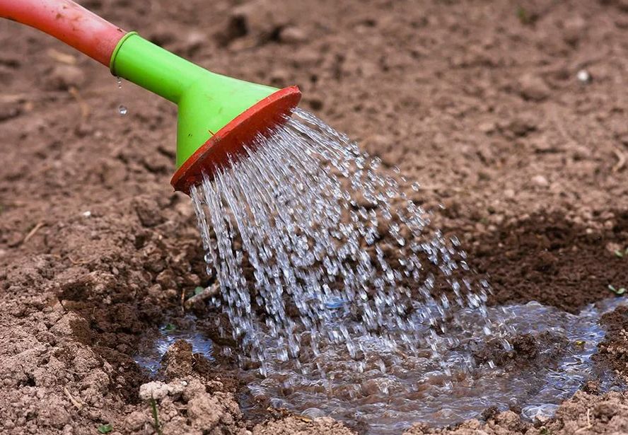 ������� ������ ������ � ����������: ������� ������� ��� ������ �������