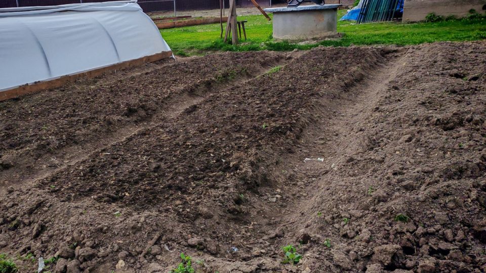 ������ � �����: 7 �������� �������, ������� ������ ������