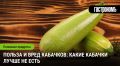 Чем опасны кабачки: секреты выбора и потребления овоща