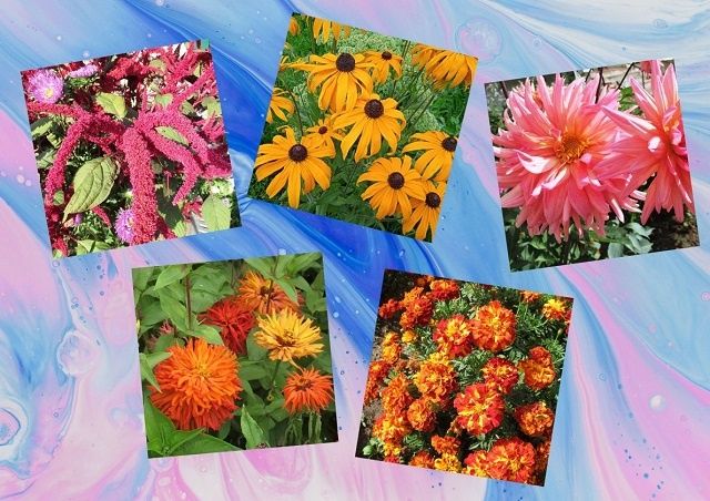 10 ������ ��� ������������ ����, ������� �� ������ ������� ������