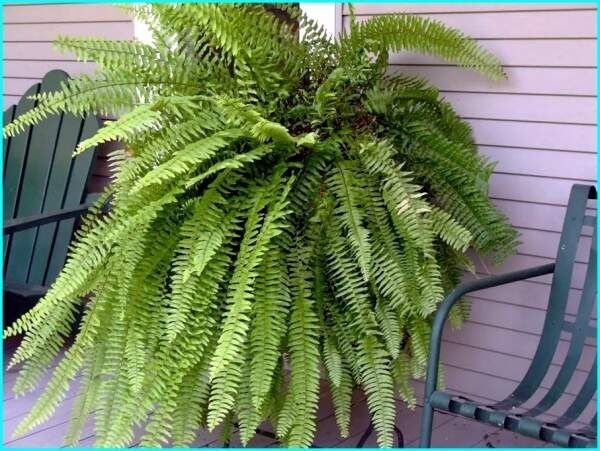 ���������� ����������: ��� ��������� �� ������� ������� � ����� ����