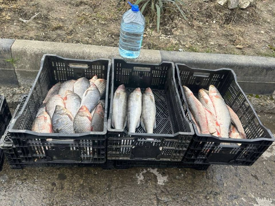 �������� ��� ������: ����� �������� ������ �����