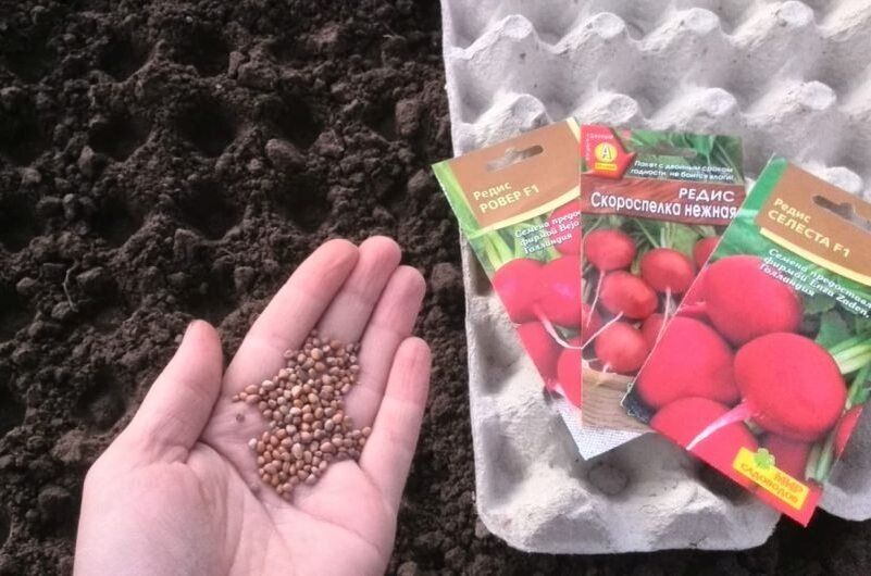 ������������ �������: ����� ����� ����� �������, ����� ������ �� ����������