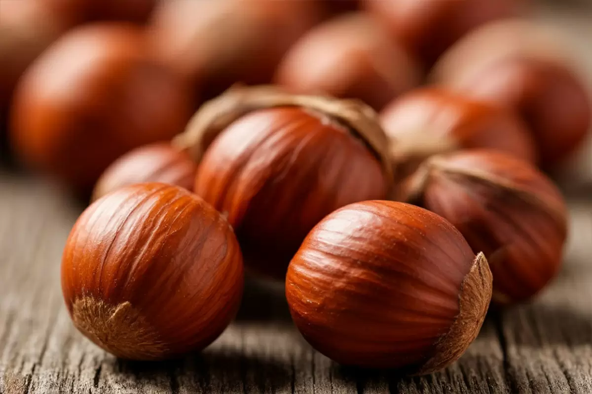 Нехватка фундука угрожает доступности Nutella: предвестие дефицита