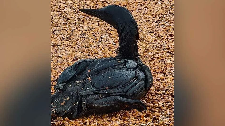 � ����� ����� ������� ���� ����� ��������� ����� ��������������