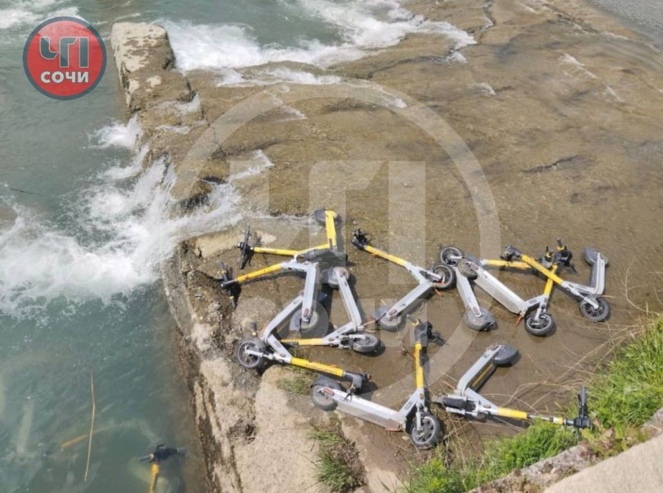 ����������� ��������� ��������������� � ���� ����