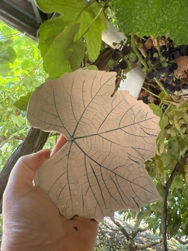 ����������� � ��������� ��������: ���������� ������ ���� ��������� ���� ����� ��� ���������� ���