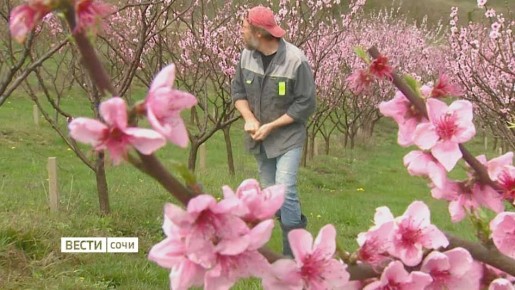 ������� � ���� ��������� � ������