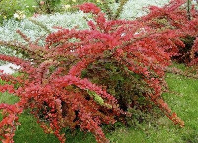 ��� ������� �������� ��� ������� ����: ������� ������������ � �������