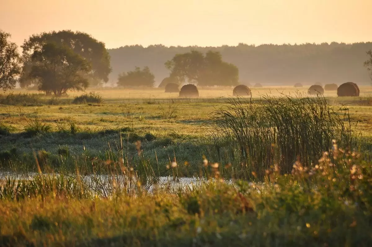 Ностальгия по русским деревням: жизнь и традиции