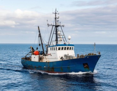 Сезон ловли минтая стартует: рыбаки готовятся к активной промысле