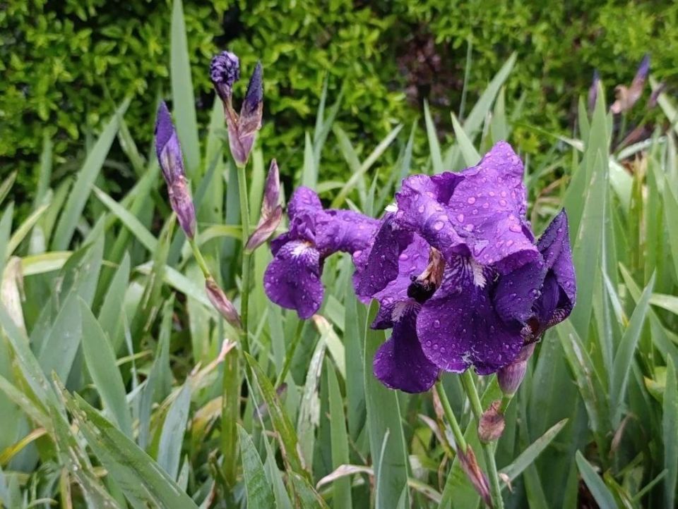 ������ ����, ������� ����!