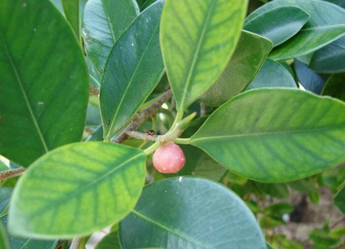 ��� �������� ����� � ��� ����������: ��������� �������� ��� �������