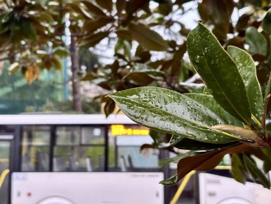 ������ ����!. ��������� ����������� ��� ���� ���������� :