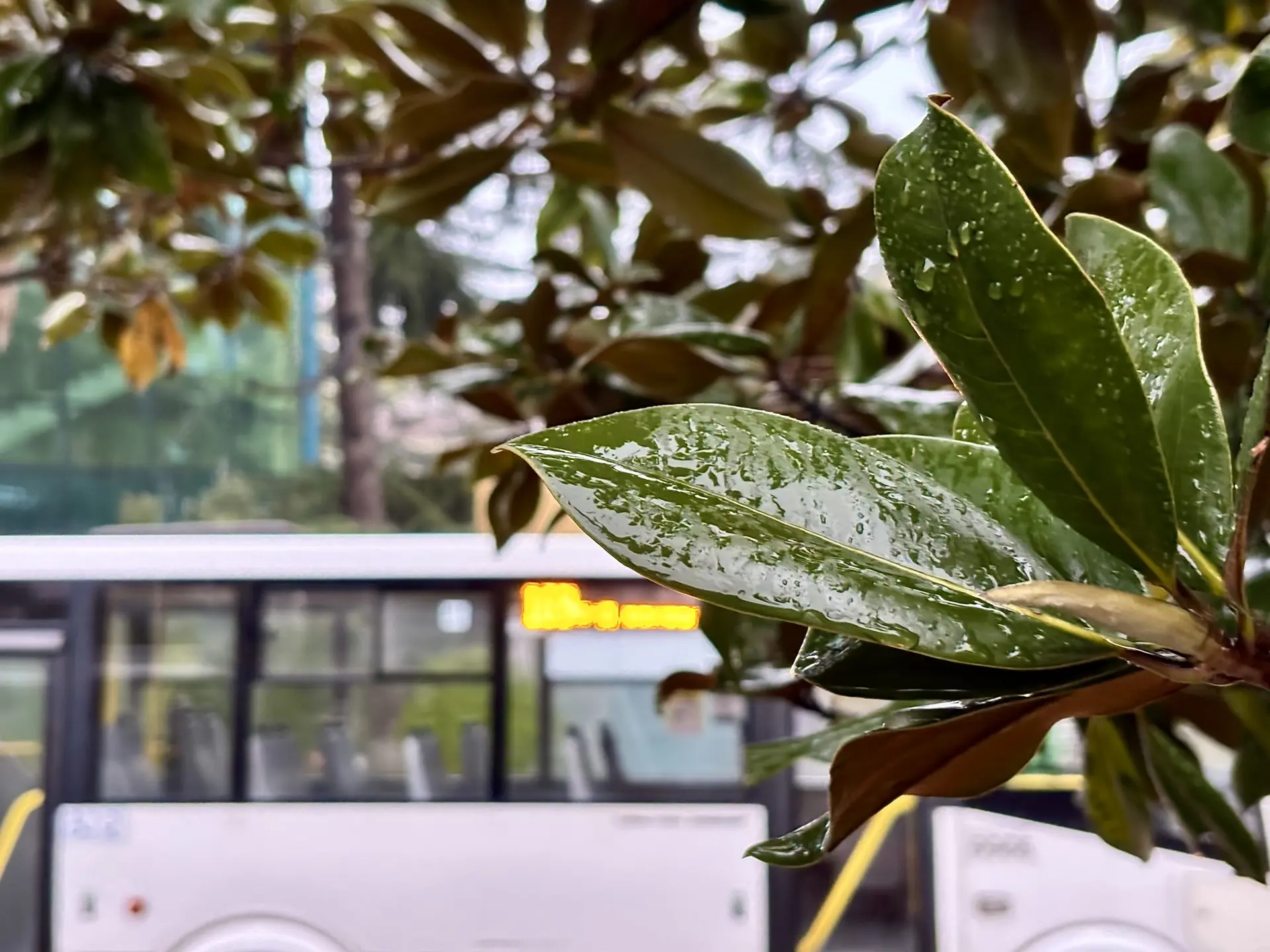 Доброе утро!. Небольшое напоминание для всех пассажиров :
