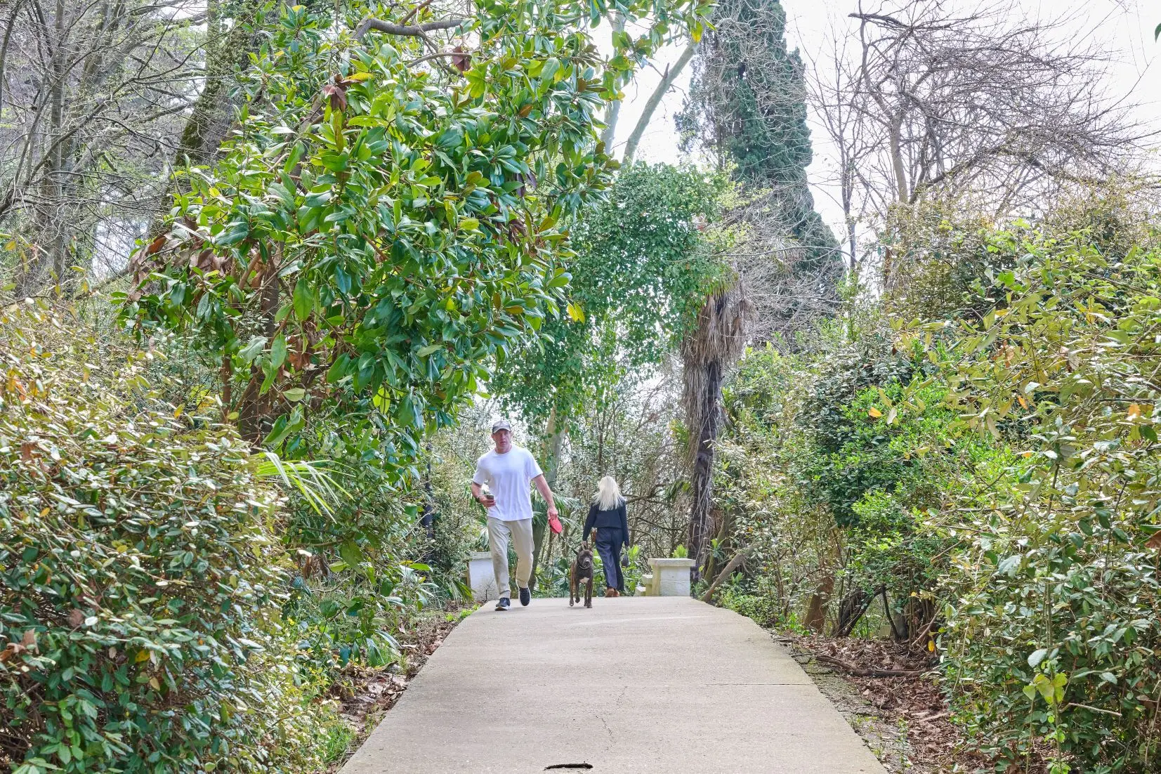 Андрей Прошунин: Посетил пешеходный маршрут «Тропа здоровья», чтобы проверить его готовность к предстоящему летнему сезону Андрей Прошунин: Посетил пешеходный маршрут «Тропа здоровья», чтобы проверить его готовность к предстоящему летнему сезону