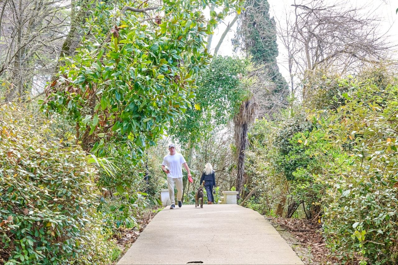 Андрей Прошунин: Посетил пешеходный маршрут «Тропа здоровья»