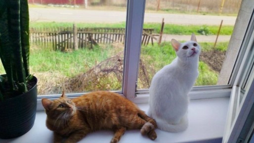 ������ ����, ������!. ��������� +14 ��