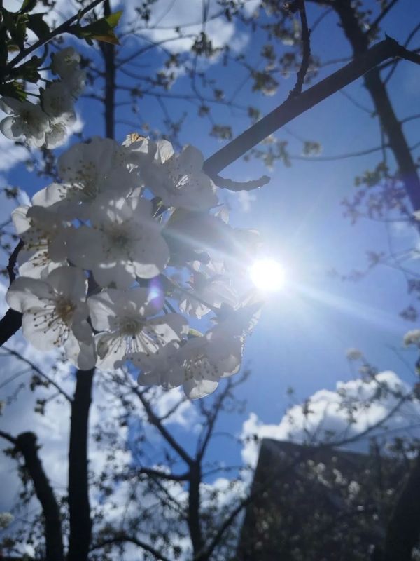 � ������ �� 14 ������ . � ������������� ���� ������� � ������������