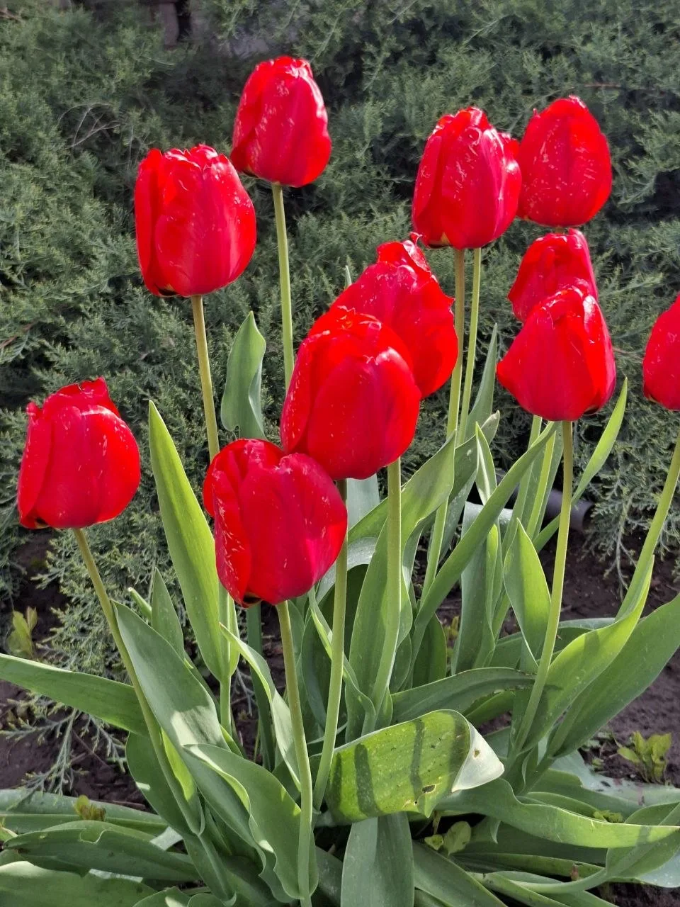 О погоде на 14 апреля . В Краснодарском крае облачно с прояснениями О погоде на 14 апреля . В Краснодарском крае облачно с прояснениями