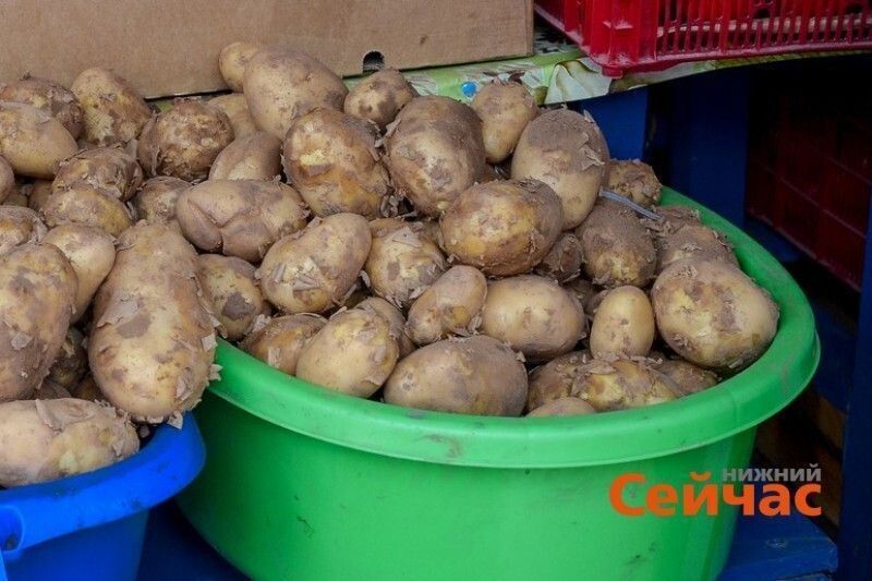 ������������� ��������� �� �������: ����� 3000 ���� ���������� � ��������� � ������������