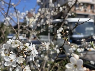 ������ ����!. ����� �������� ���! ����� � MAX