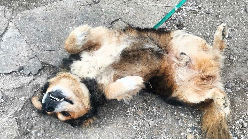 � ������ �� 15 ������ . � ������������� ���� ������� � ������������, ������� �����