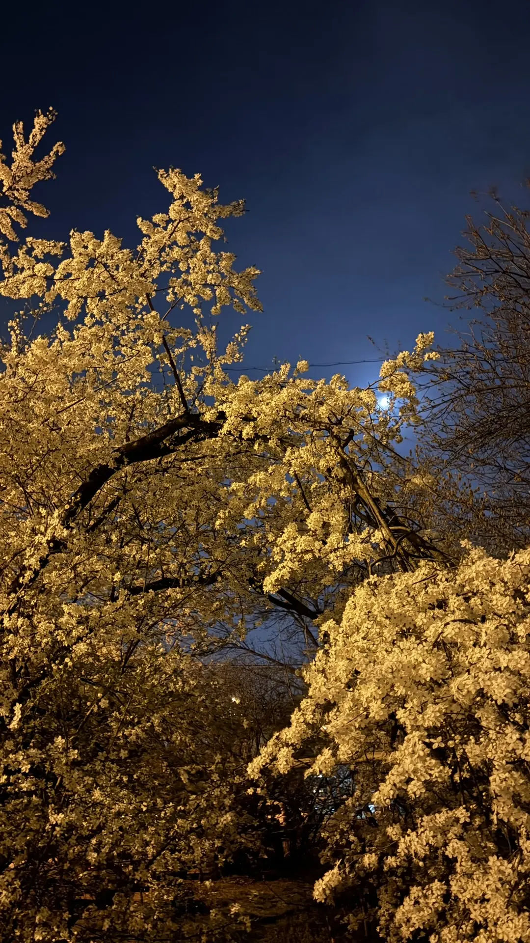 О погоде на 15 апреля . В Краснодарском крае облачно с прояснениями, местами дождь О погоде на 15 апреля . В Краснодарском крае облачно с прояснениями, местами дождь