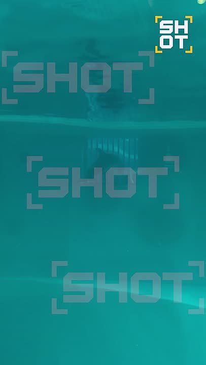 ��� ��������� ������ ������ � ����