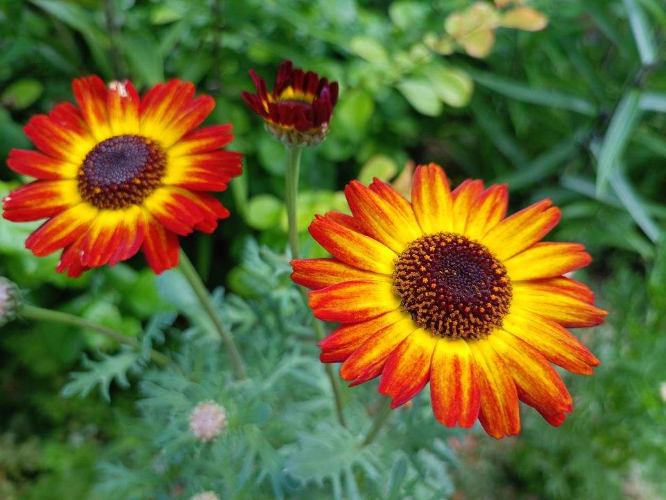 ��� ���������� ���������� ������� � �������� �����: �������� ��������� ��������