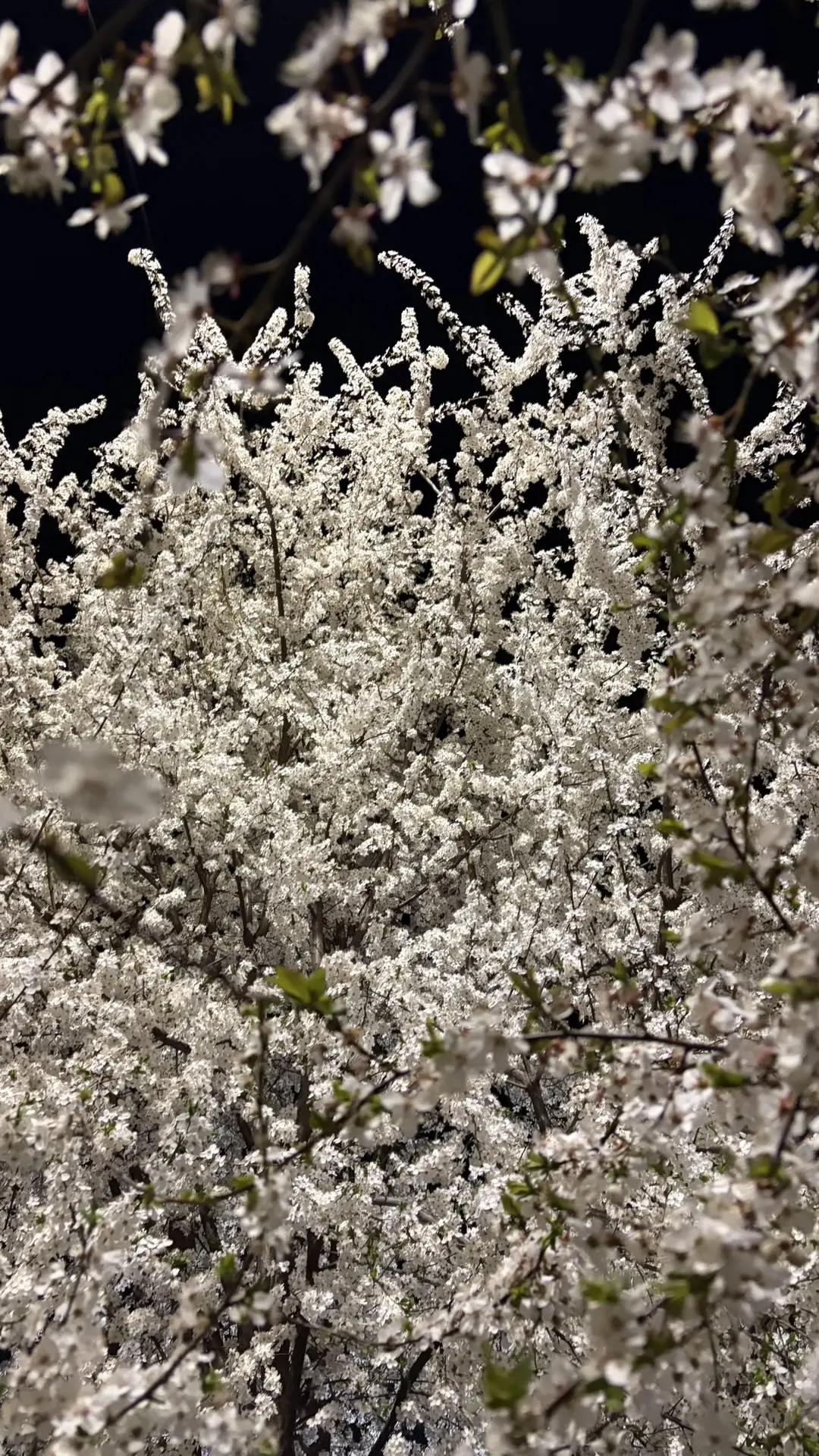 О погоде на 15 апреля . В Краснодарском крае облачно с прояснениями, местами дождь О погоде на 15 апреля . В Краснодарском крае облачно с прояснениями, местами дождь